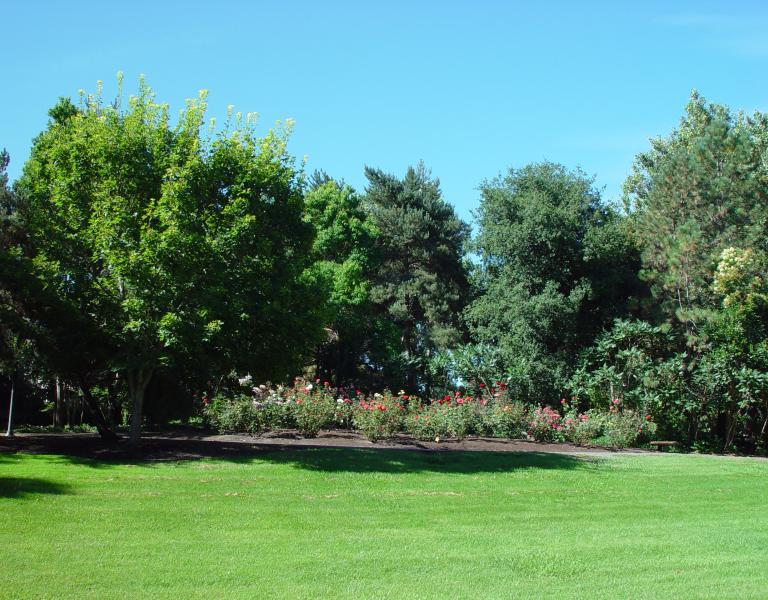 Rose Garden
