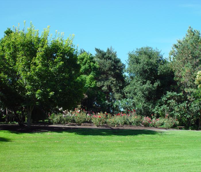 Rose Garden